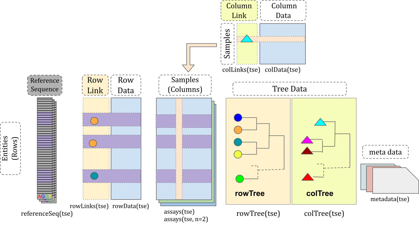 _TreeSummarizedExperiment_ class