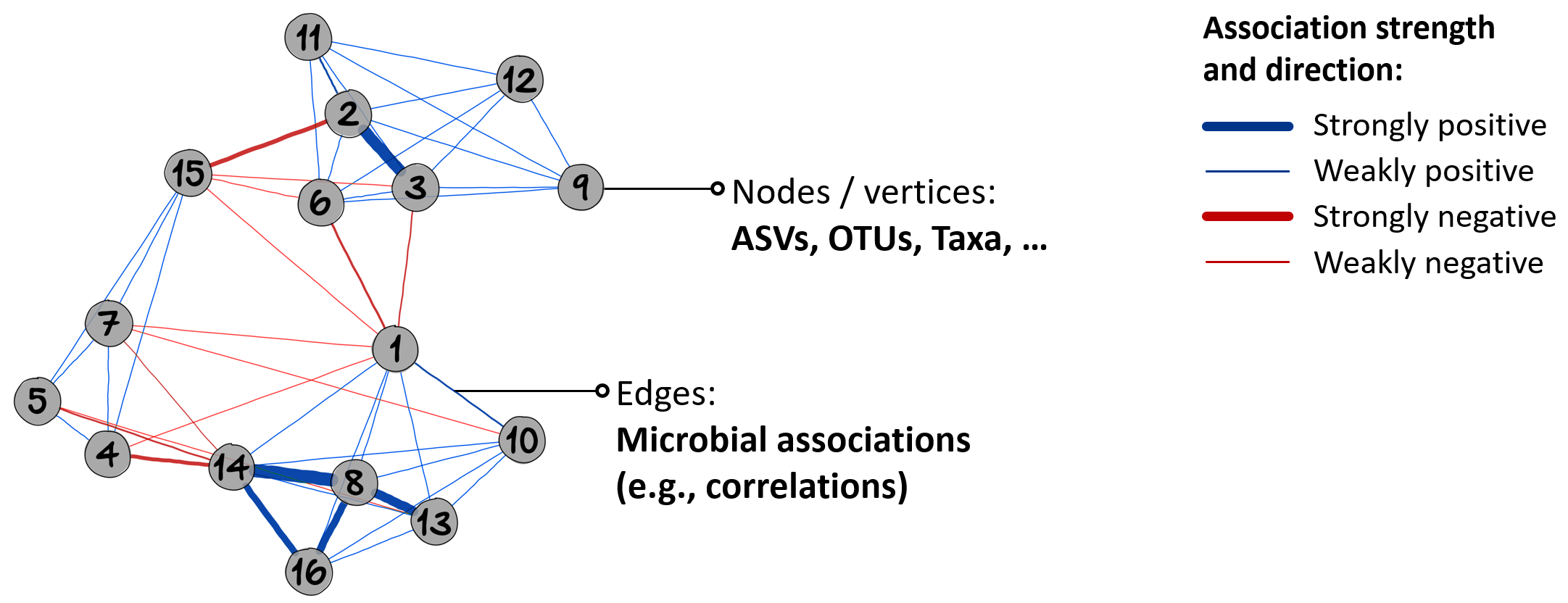 An exemplary microbiome network.