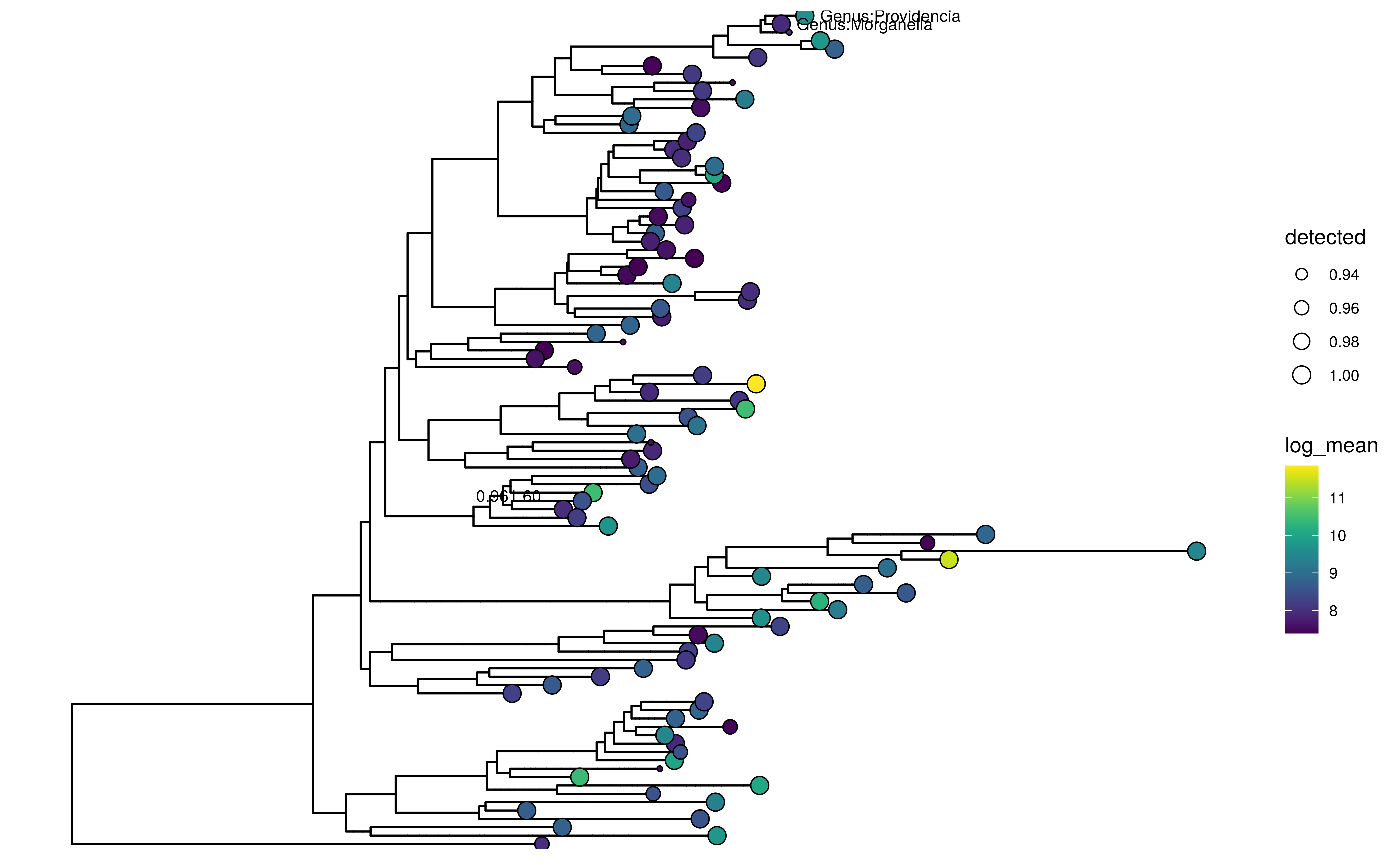 Tree plot using ggtree with tip labels decorated by mean abundance (colour) and prevalence (size). Selected node and tip labels are shown.
