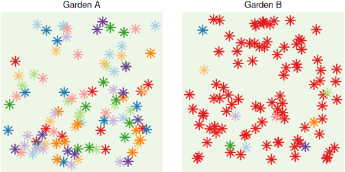Two gardens drawn as squares with 100 flowers each, one coloured point per flower. Garden A has ten colours, each used for ten flowers, mixed evenly. Garden B has the same ten colours, but 91 flowers share one colour and each of the other nine colours appears only once.