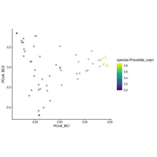PCoA plot coloured by the relative abundance of Prevotella copri. Samples on the right side of the first axis have a high abundance of Prevotella copri.