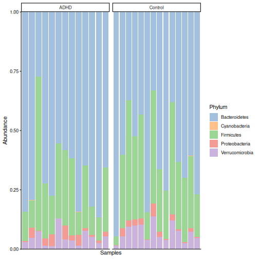 Stacked bar plot of phylum relative abundances in each sample, split by ADHD and control. Bacteroidetes dominate most samples, followed by Firmicutes and Verrucomicrobia.