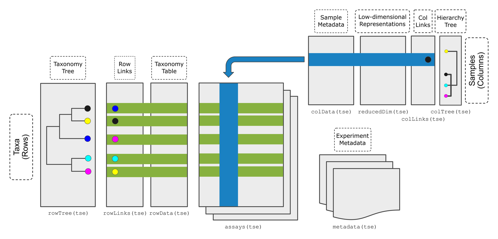 Schematic of a TreeSummarizedExperiment. The assays (abundance tables) are in the middle, with taxa as rows and samples as columns. On the left are the taxonomy tree (rowTree), row links and taxonomy table (rowData). At the top right are the sample metadata (colData), low-dimensional representations (reducedDim), column links and a hierarchy tree for the samples (colTree). Experiment metadata (metadata) is at the bottom right.
