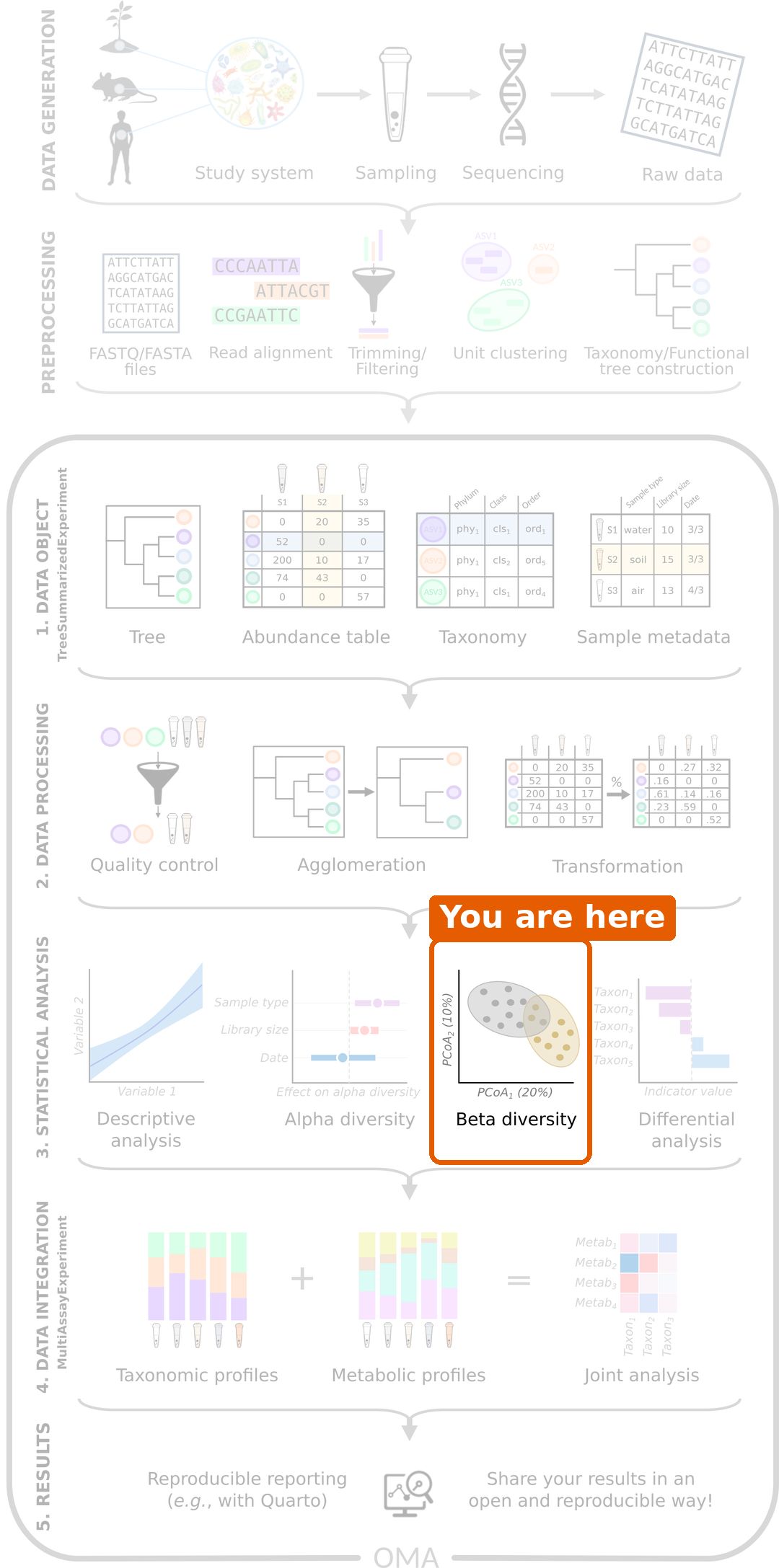 Microbiome data science workflow with beta diversity highlighted in the statistical analysis step.