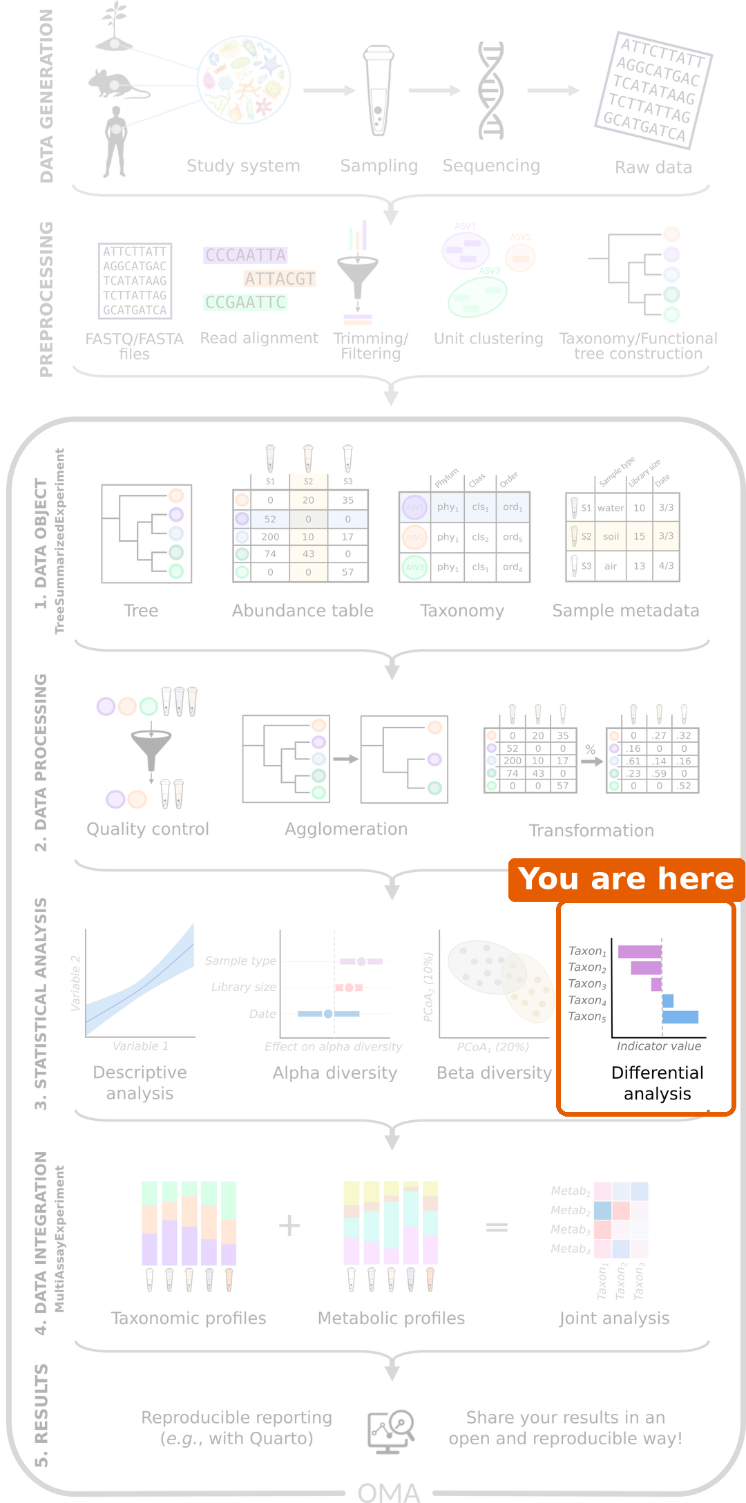 Microbiome data science workflow with differential abundance highlighted in the statistical analysis step.