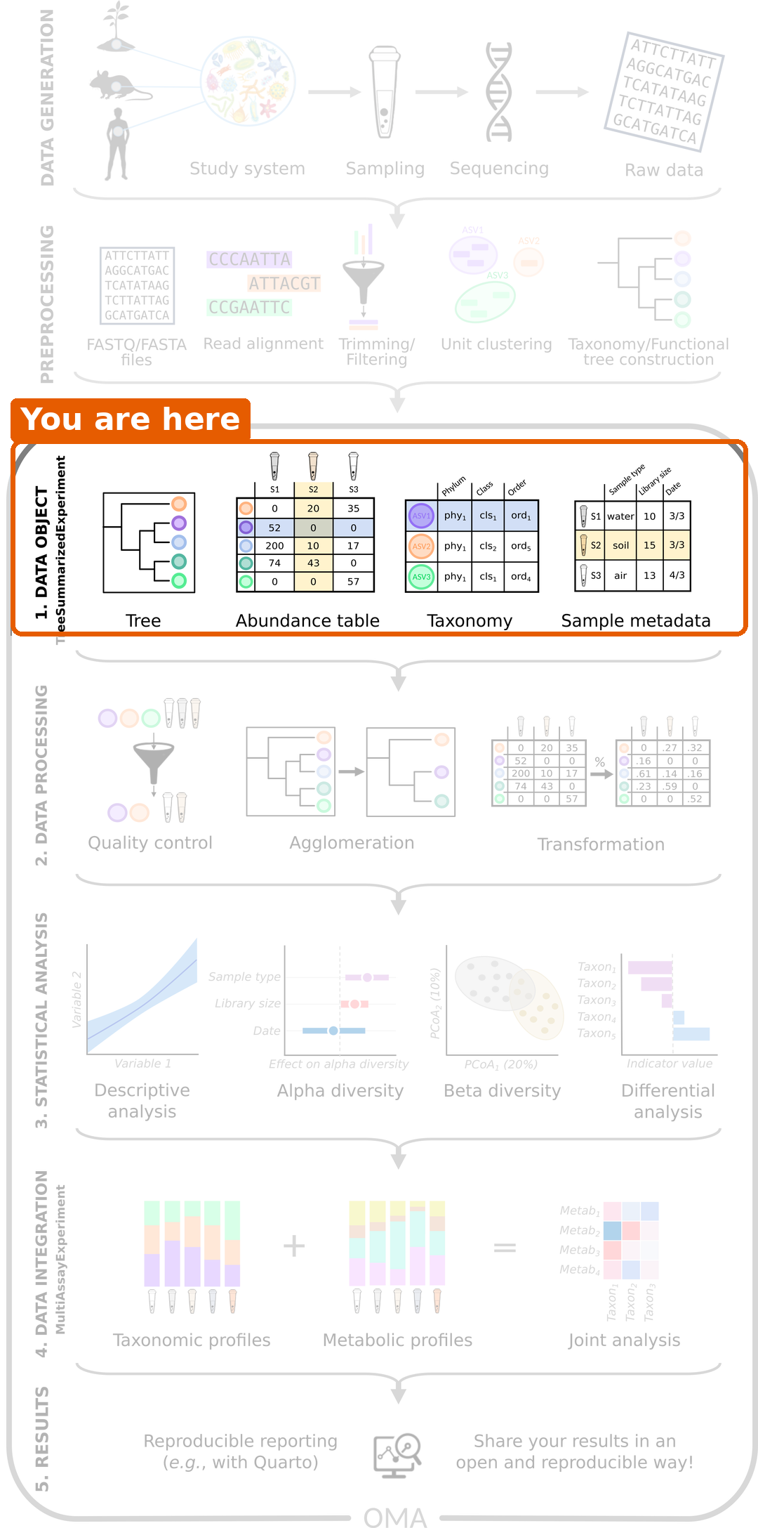 Microbiome data science workflow with the data object step highlighted: the tree, abundance table, taxonomy and sample metadata are combined into one object.
