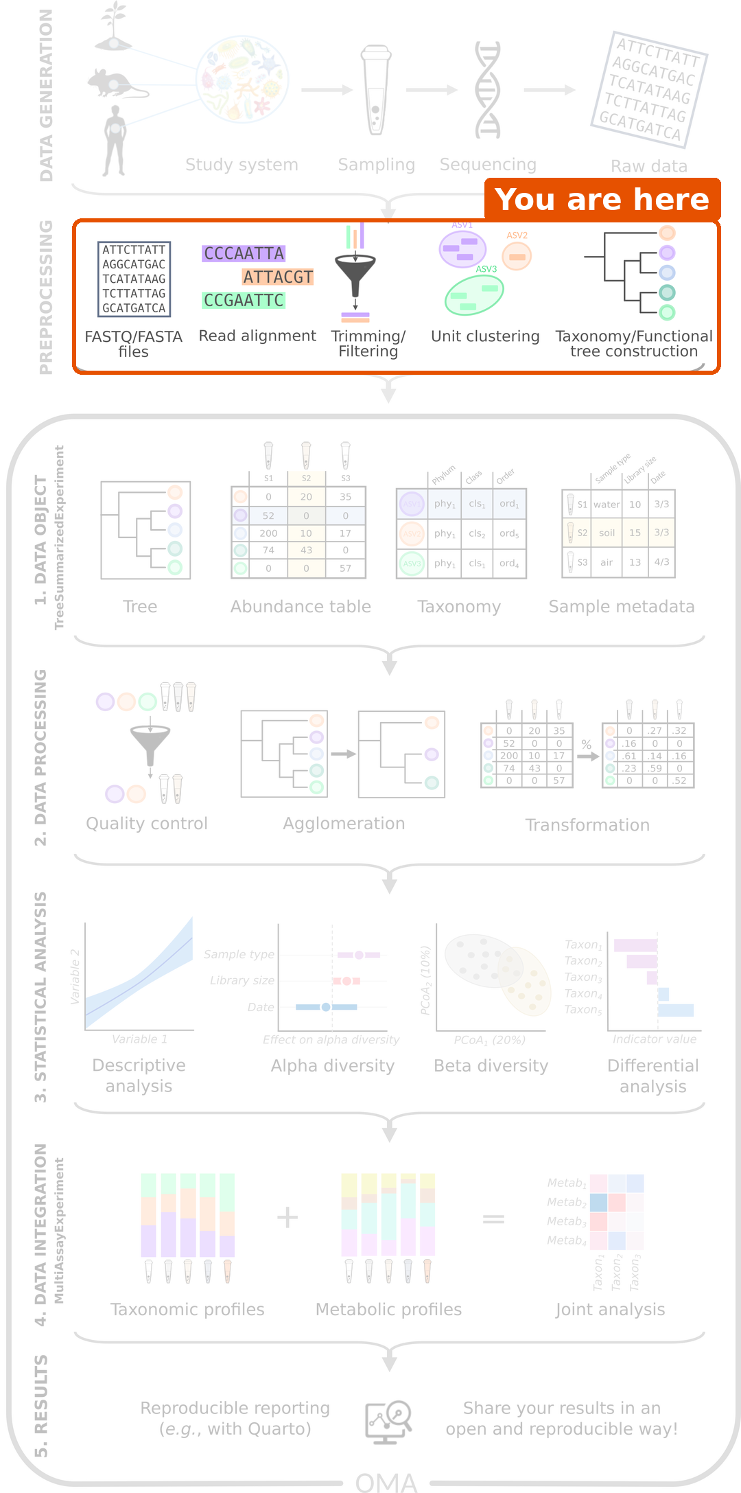 Microbiome data science workflow with the preprocessing step highlighted: FASTQ files, read alignment, trimming and filtering, unit clustering, and taxonomy and tree construction.