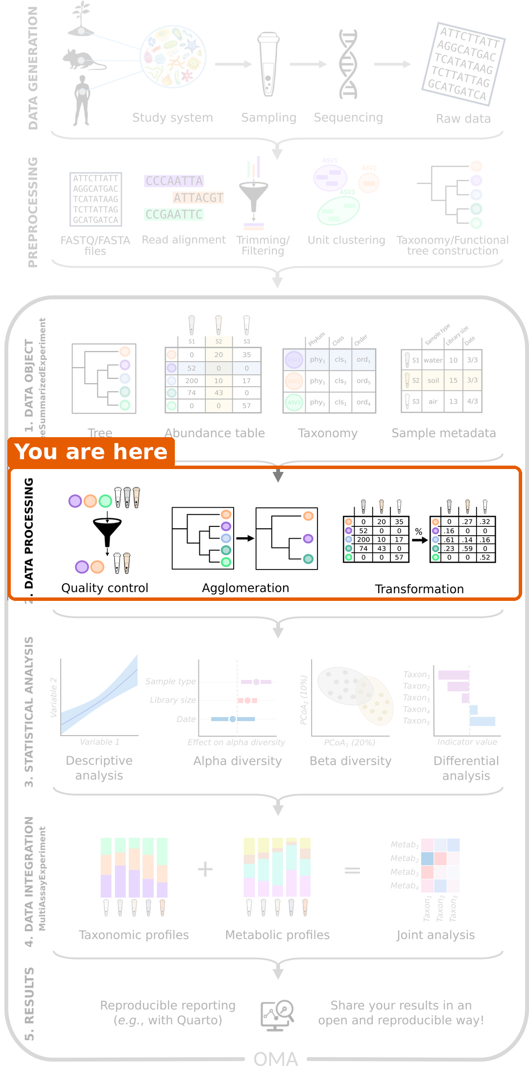 Microbiome data science workflow with the data processing step highlighted: quality control, agglomeration and transformation.
