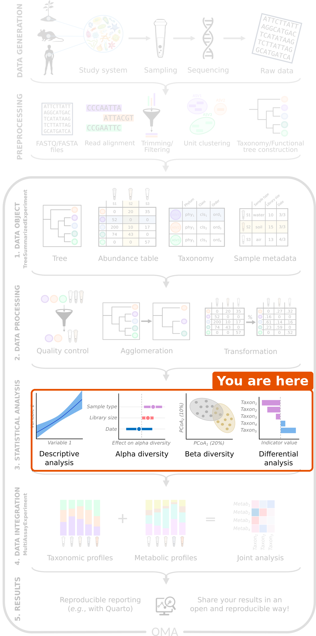 Microbiome data science workflow with the statistical analysis step highlighted.