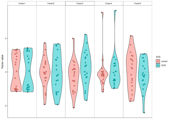 Violin plots of the values of the rats on the five MOFA factors, coloured by XOS. On every factor, the rats with and without XOS overlap.
