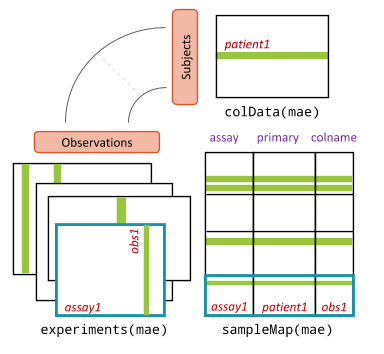 Diagram of a MultiAssayExperiment. On the left, several experiments are stacked; each is a table of features by observations. At the top, colData holds one row per subject (patient). On the right, sampleMap is a table with the columns assay, primary and colname, which links each observation in each experiment to a subject in colData.